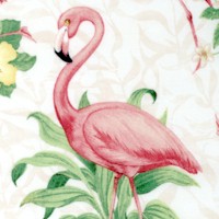Seaside Wonders - Sultry Flamingos by Jane Maday