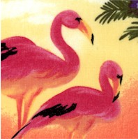 Flamingo Paradise - Tropical Sunset Scenes