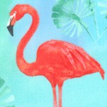 Flamingo Paradise