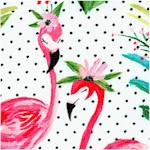 Flamingos on Polka Dots