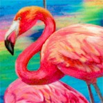 Fabulous Flamingos - Large Flamingos Allover by Ro Gregg