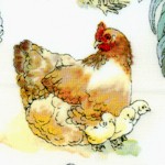 Hen House - Hens, Roosters and Chick in the Barnyard