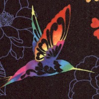 Flight of Colors - Rainbow Hummingbirds and Flowers on Black