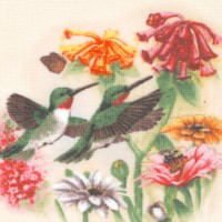 Hummingbirds - Colorful Vignettes on Cream