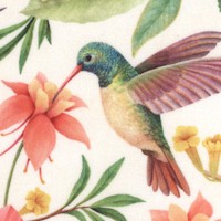 Hummingbirds and Tropical Florals on Cream
