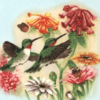 BI-hummingbirds-CC98