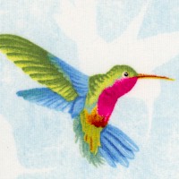 BI-hummingbirds-R135