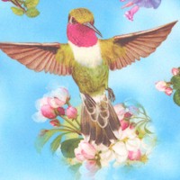 Hummingbird Garden - Gorgeous Birds and Flowers in the Sky