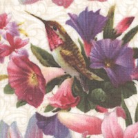 BI-hummingbirds-R774