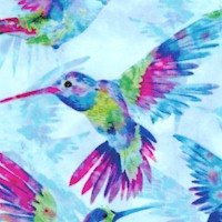 BI-hummingbirds-R776