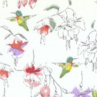 Fuchsias and Hummingbirds - Delicate Small Scale Scenes on Ivory
