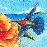 Paradise - Enchanting Hummingbirds and Flowers
