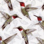 Poppy Meadows - Delicate Hummingbirds by Jane Shasky