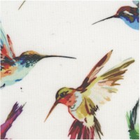 BI-hummingbirds-Z259