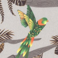 Jungle Birds on Gray