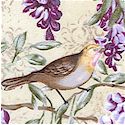 Victorian Lovebirds and Wisteria on Cream