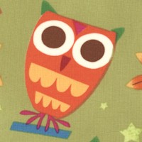 On a Whim - Whimsical Owls on Pistachio Green