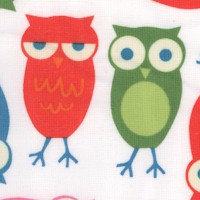 BI-owls-CC499