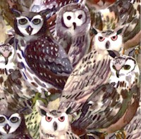 Wild Wonder - Digital Packed Owls by Sue Zipkin