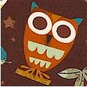 On a Whim - Whimsical Owls on Chocolate Brown