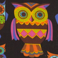 Colorful Owls on Black