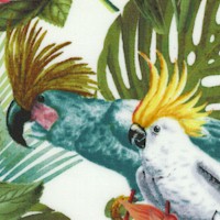 Paradise - Cockatiels and Exotic Birds in a Tropical Garden on Ivory