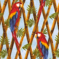 BI-parrots-AA823