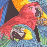Treasure Island - Polly Parrots by Philip Jacobs for Snow Leopard Designs