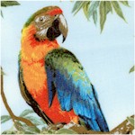 Born Free Parrots