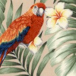 Island Paradise - Tropical Parrots and Cockatiels