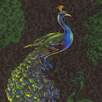 Royal Peacock - Elegant Gilded Peacocks
