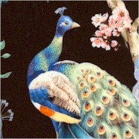 BI-peacocks-CC340