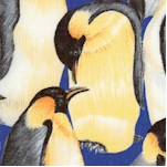 Living Wonders - Packed Penguins on Blue