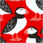 BI-puffins-Y274