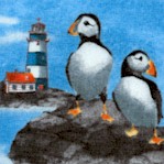 Atlantic Shore - Puffins and Lighthouses