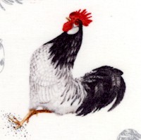 BI-roosters-CC841