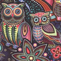 Sahul Land - Ornate Owls and Foliage
