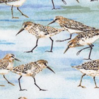 Coastal Paradise - Seaside Sandpipers by Barb Tourtillotte