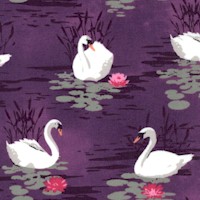 BI-swans-AA686