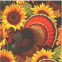 BI-turkeys-BB905