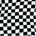 Race Day - Black and White Racing Checkerboard