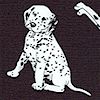 Tossed Dalmatians on Black-LIMOITED YARDAGE AVAILABLE (.875 YARD). MUST BE PURCHASED IN FULL.