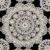 BW-lace-Z638