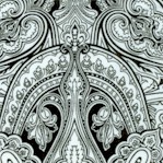 Monochrome Black and White Paisley by Jinny Beyer