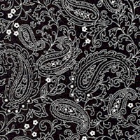 BW-paisley-BB19