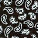 Basic Brights - Small Scale Paisley in Black and White
