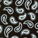 BW-paisley-S657