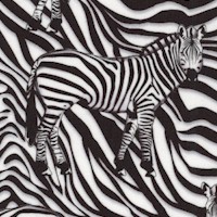 3-D Zebras